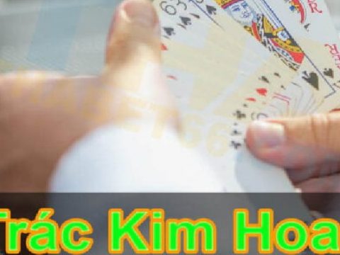 Tìm hiểu Trác Kim Hoa là gì để làm chủ cuộc chơi