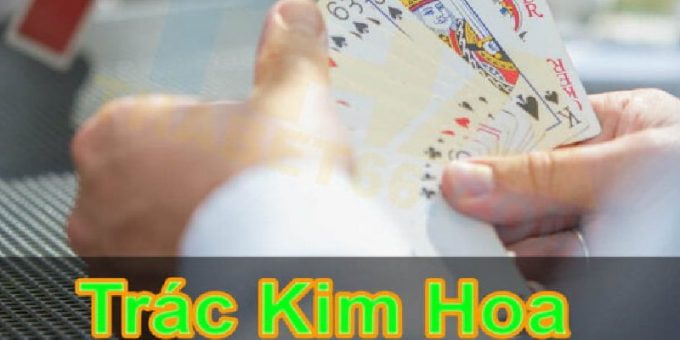 Tìm hiểu Trác Kim Hoa là gì để làm chủ cuộc chơi